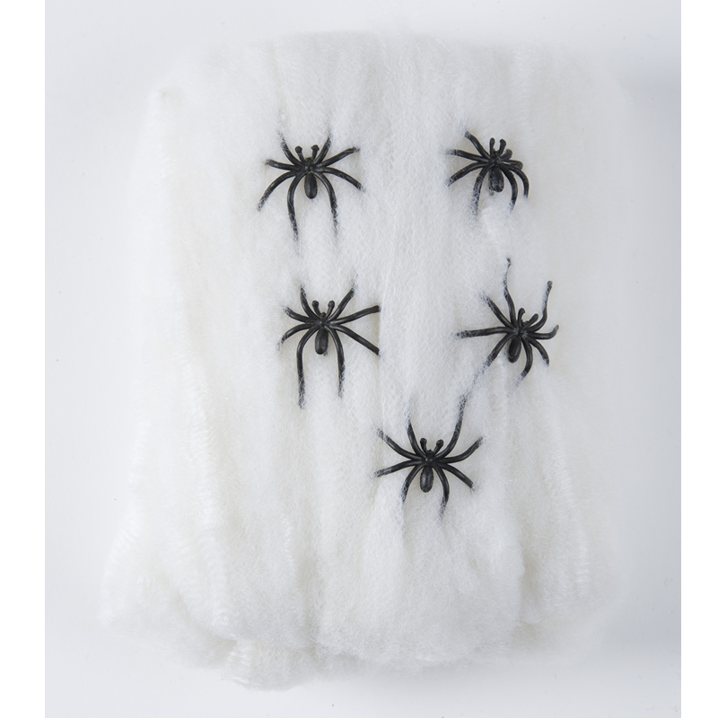 TOILE ARAIGNÉE BLANCHE AVEC 5 ARAIGNÉES