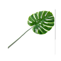 FEUILLE TROPICALE VERTE (72CM)