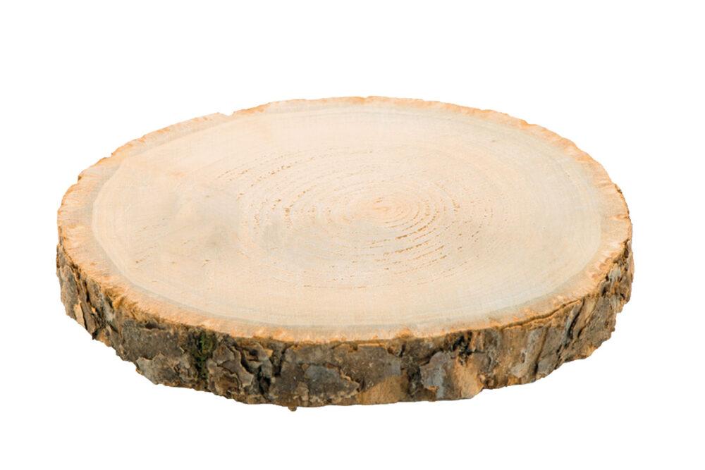 RONDIN BOIS (2X24CM)