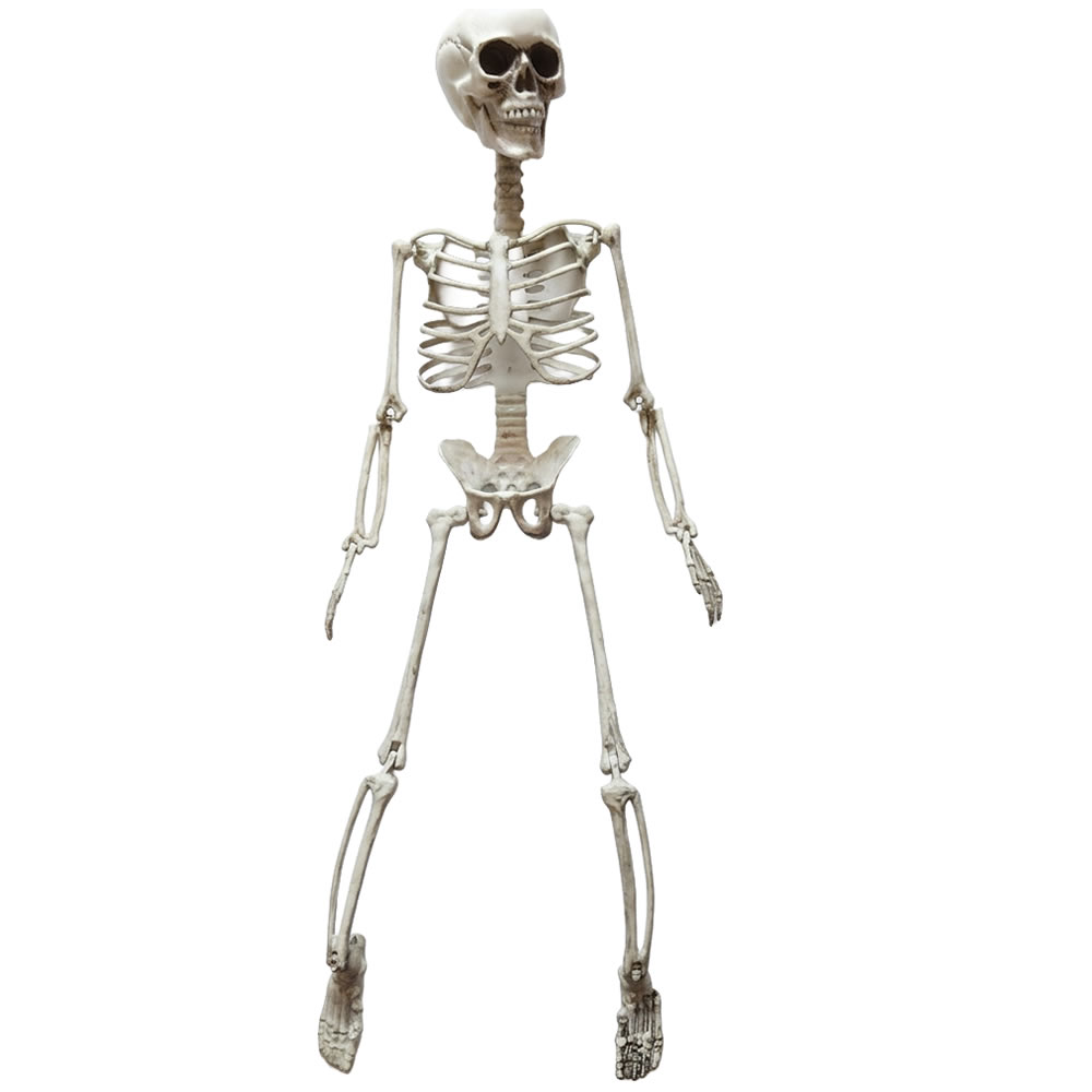SQUELETTE ARTICULÉ (75CM)