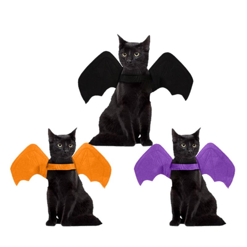 AILE DE CHAUVE-SOURIS POUR CHAT (3 COLORIS)