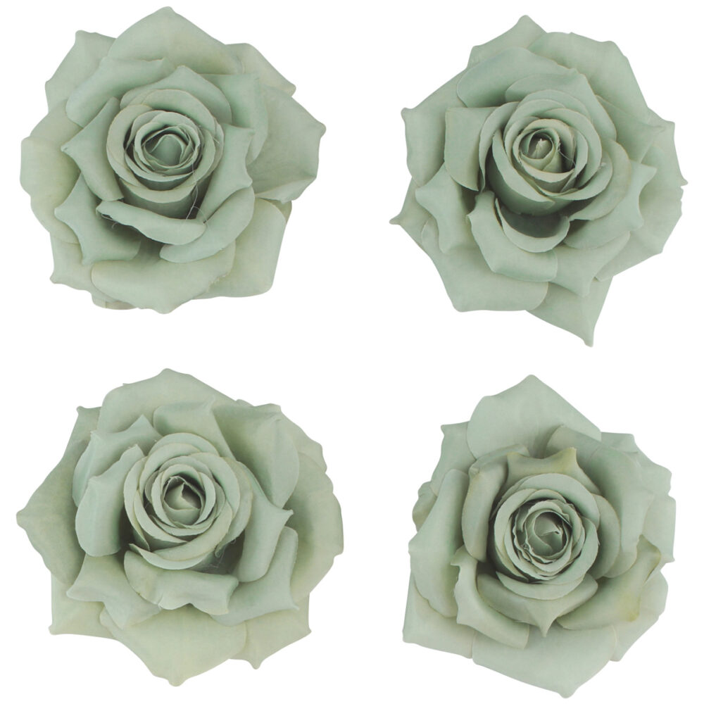 TÊTES DE ROSE VERT SAUGE X4 (9,5CM)