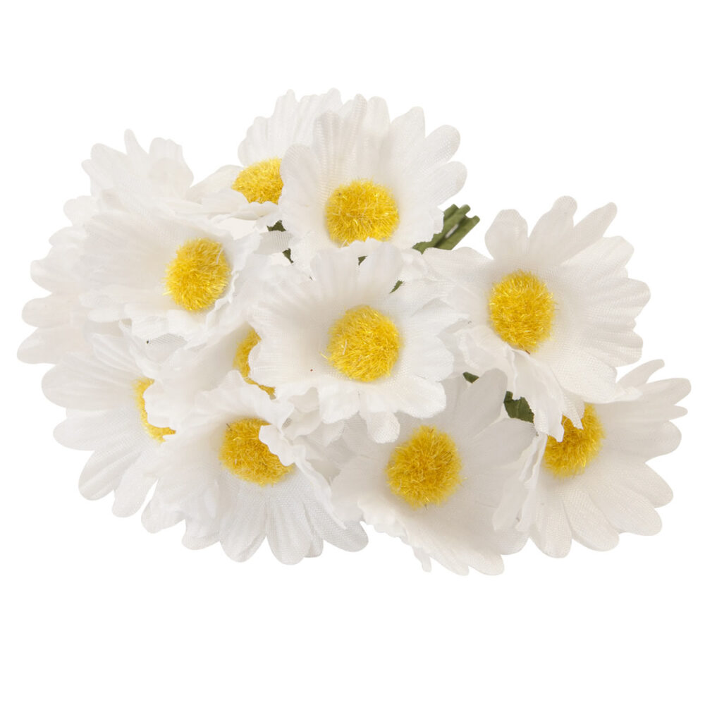 12 MARGUERITES SUR TIGE