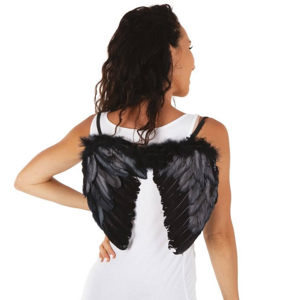 AILES D'ANGE PLUMES NOIRES (40 X 32CM)