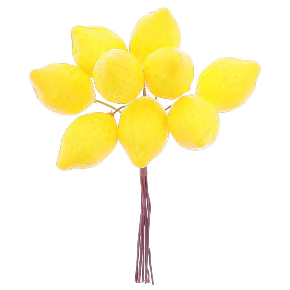 9 CITRONS JAUNES SUR TIGE