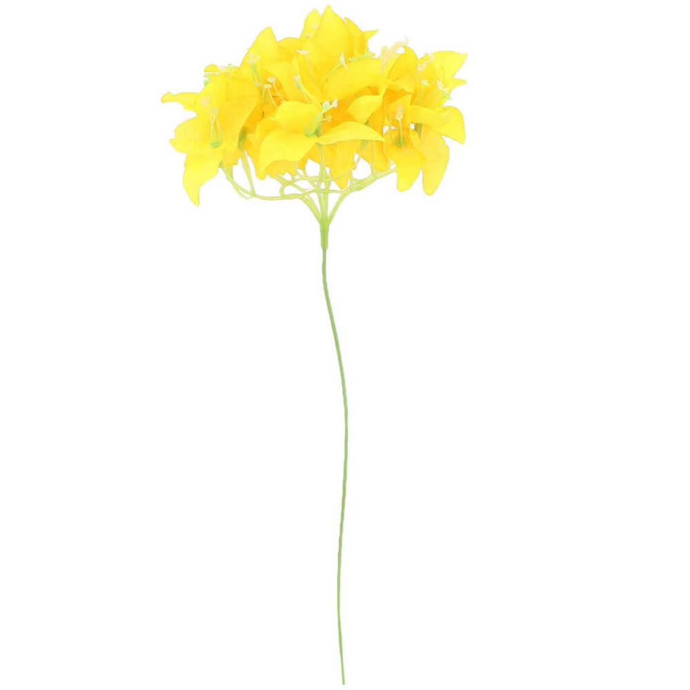 BRANCHE BOUGAINVILLIER JAUNE