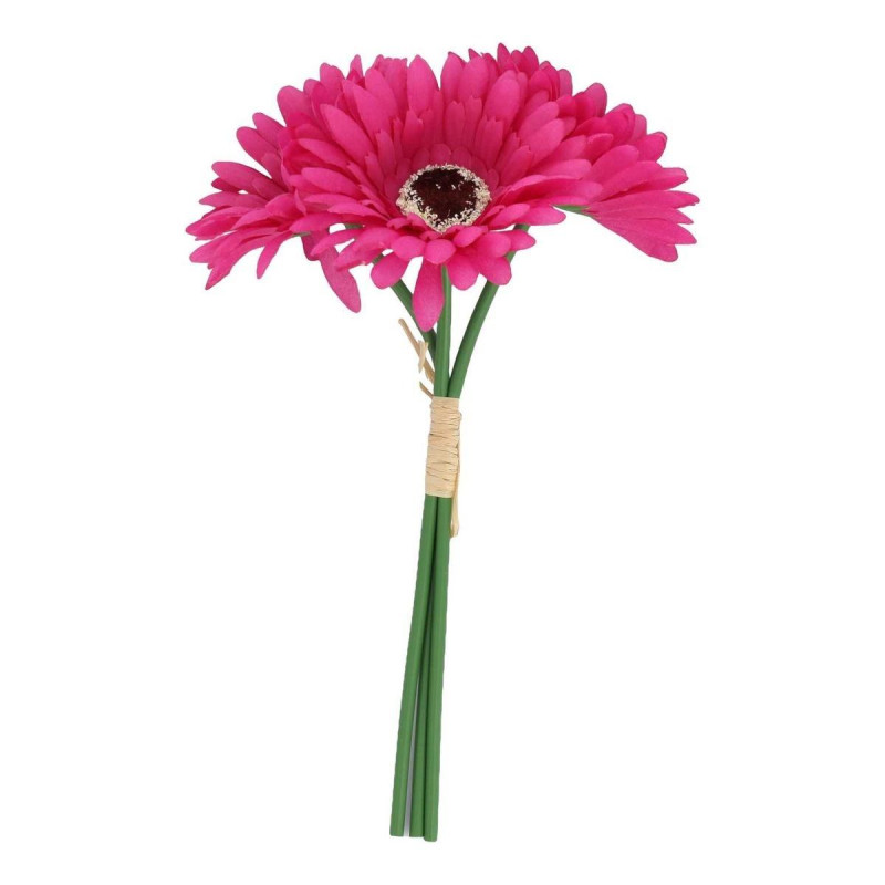 BOUQUET 3 GERMINIS FRAMBOISE (25CM)