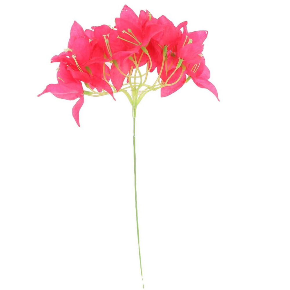 12 ROSES VIEUX ROSE SUR TIGE